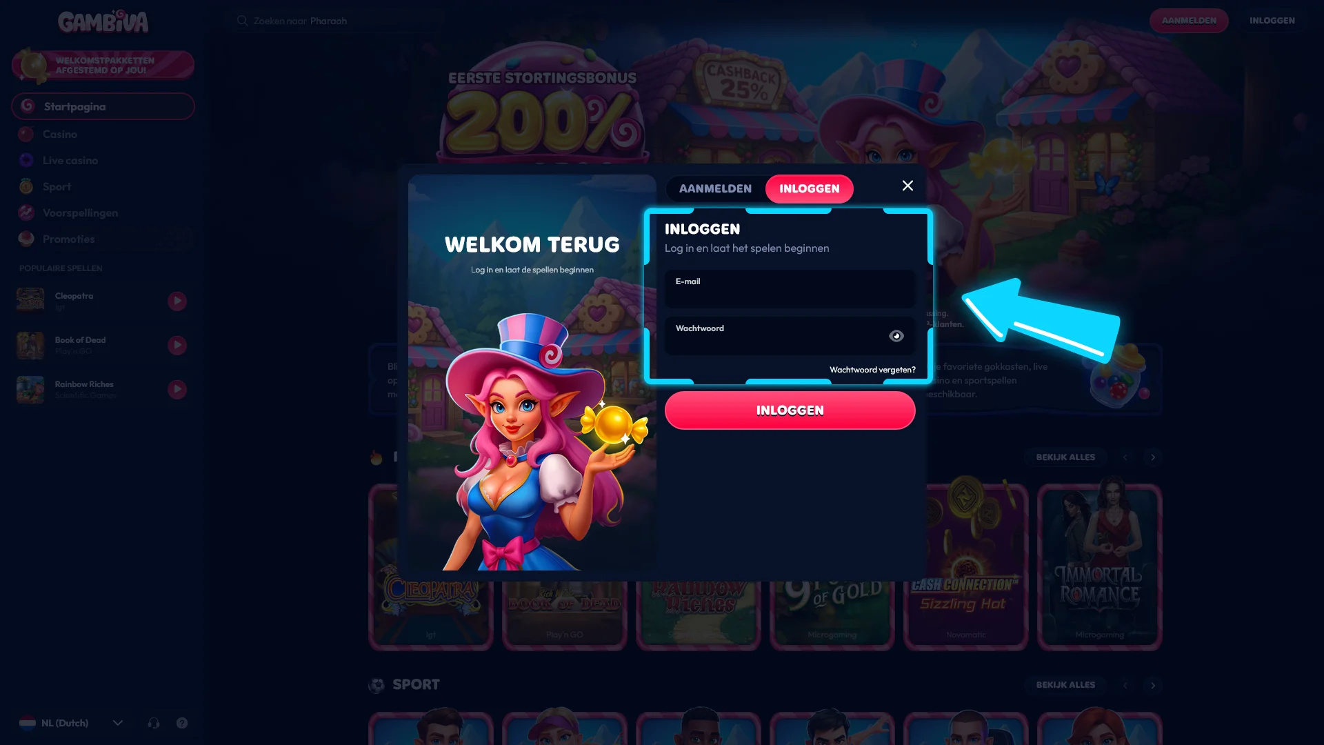 Voer je persoonlijke inloggegevens in op het betrouwbare platform van Gambiva.